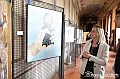 VBS_3410 - Mostra Art For Freedom